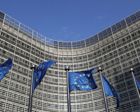 Eleven countries demand EU weakens deforestation law further, document shows