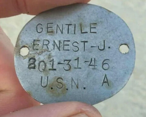 Navy veteran's dog tags found on Nantucket, family hoping to get them back
