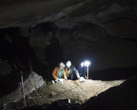 Scientists date the oldest known tools made from whale bones to 20,000 years ago