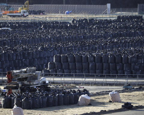 Japan to use slightly radioactive soil from Fukushima on flowerbeds at prime minister's office