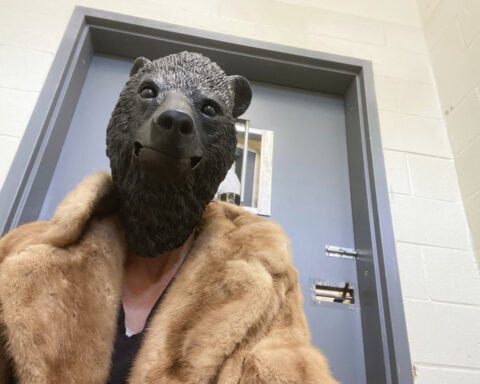 Orphaned bear cub finds comfort in a teddy bear and costumed caregivers