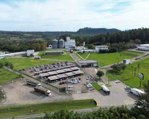 Brazil finds bird flu in wild bird, investigates potential case on commercial farm