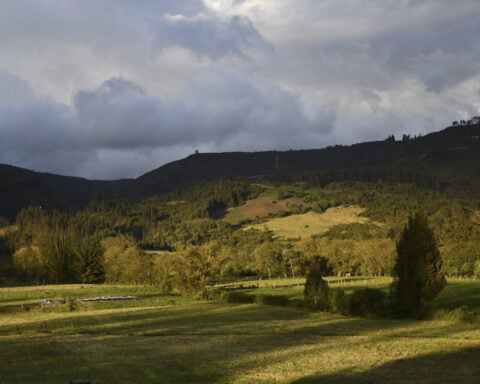 Ancient DNA reveals a new group of people who lived near land bridge between the Americas