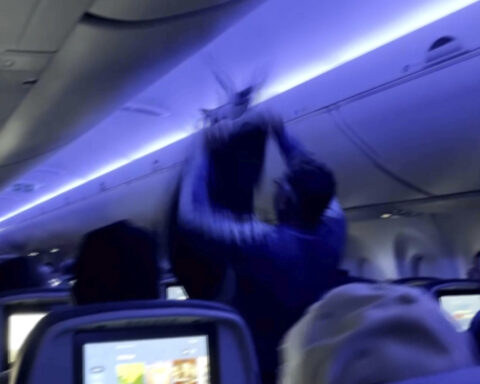 Delta flight delayed because 2 pigeons sneaked aboard a plane in Minneapolis