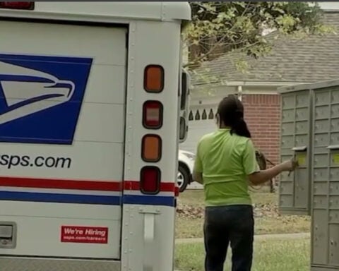 42 credit and debit cards, over a dozen stolen checks found in mail theft ring bust, records show