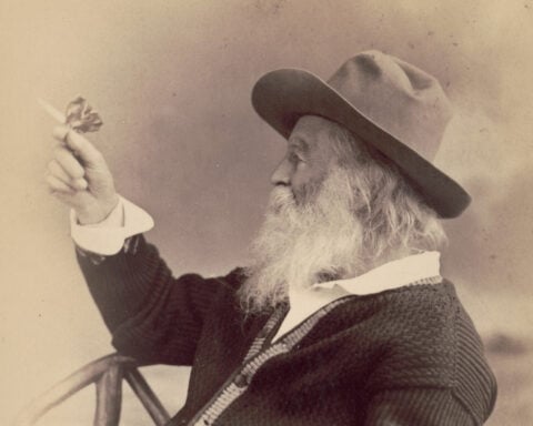 Like today’s selfie-takers, Walt Whitman used photography to curate his image – but ended up more lost than found
