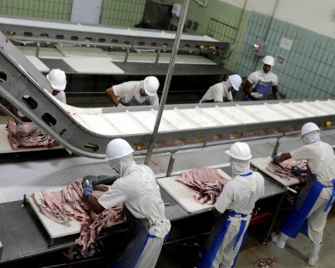 Brazil declared free of foot-and-mouth disease without vaccination