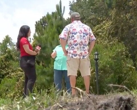 'There was a humongous pig,' Residents battle feral hog problem in Palm Coast