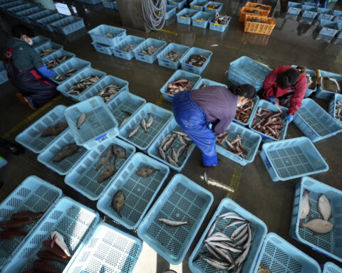 China set to resume imports of Japanese seafood halted over Fukushima water discharge