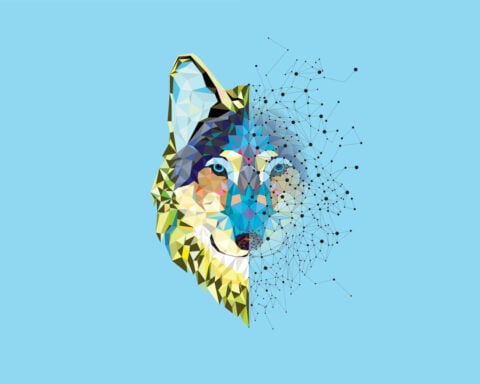 If it looks like a dire wolf, is it a dire wolf? How to define a species is a scientific and philosophical question