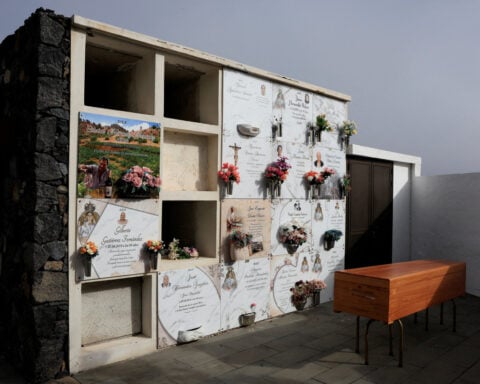 Seven migrant women and children died metres from shore in Canary Islands