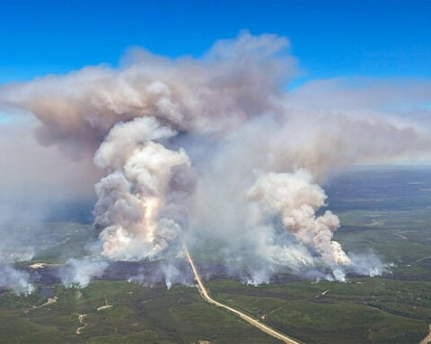 Wildfire smoke exposure may shorten lung cancer survival