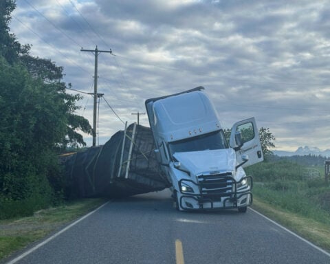 Millions of honeybees abuzz after truck overturns in Washington state