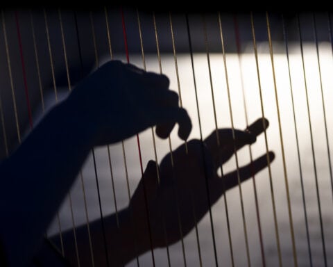 Strauss' 'Blue Danube' is beamed into space as Vienna celebrates with a concert