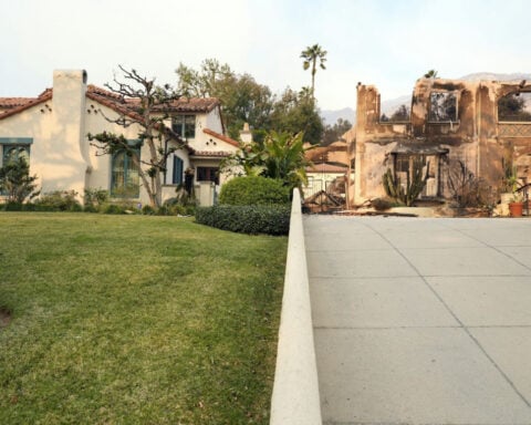 California plan to ban most plants within 5 feet of homes for wildfire safety overlooks some important truths about flammability