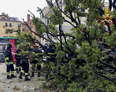 A falling tree in Venice injures a dozen people, including foreign tourists