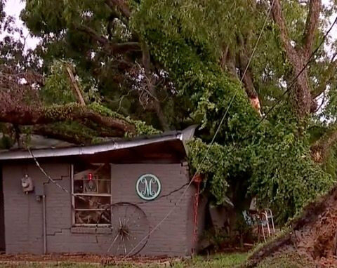 'It tore my front door off': Storm rips through Southeast Georgia community, damaging homes