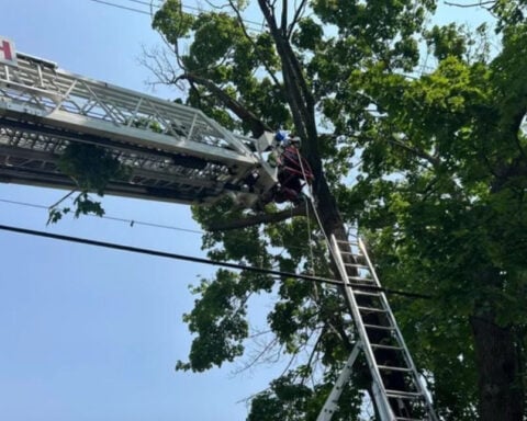 Man stuck upside down in tree rescued in Pittsburgh neighborhood
