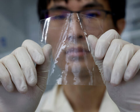 Scientists in Japan develop plastic that dissolves in seawater within hours