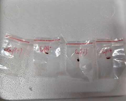 2 Chinese researchers are charged with smuggling biological pathogen to study at University of Michigan lab