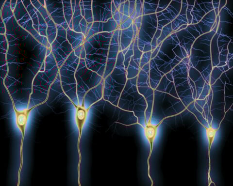 Memories of the good parts of using drugs can keep people hooked − altering the neurons that store them could help treat addiction