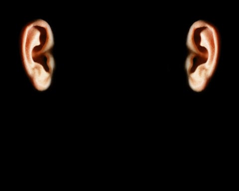 Your left and right brain hear language differently − a neuroscientist explains how