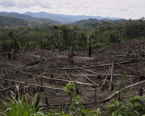 Cuts to USAID severed longstanding American support for Indigenous people around the world