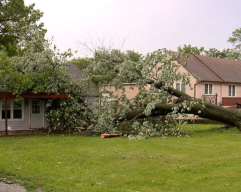 Residents recall moments when Tuesday's storm turned damaging