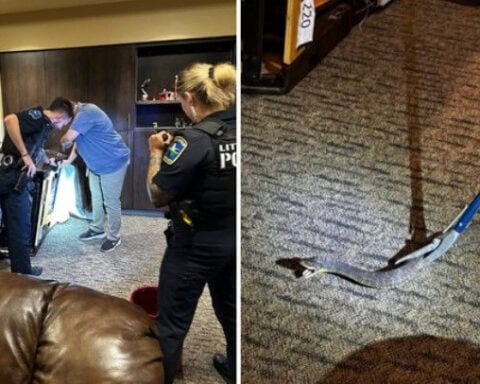 PD helps save firefighters from snake: "Firefighters are safe. Chairs may never recover."