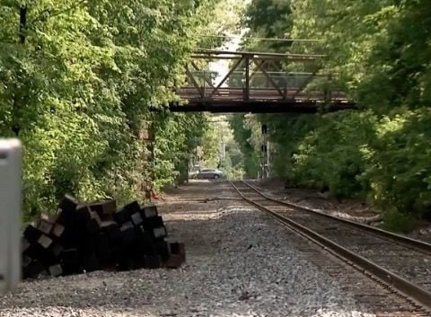 Family remembers woman struck, killed by train in New Hampshire while trying to get dog off tracks