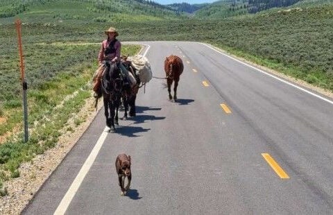 Woman riding 3,000 miles through the west with her horses and dog