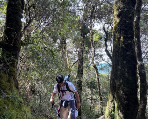 A decade after the Mount Kinabalu earthquake, survivors return to climb again