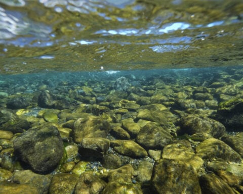 California's Yurok Tribe gets back ancestral lands that were taken over 120 years ago
