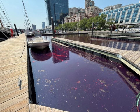 About 2,000 gallons of diesel spills in Baltimore waterfront, US officials say