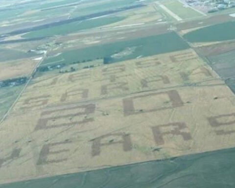Farmer creates wheat field art to celebrate 20-year anniversary with wife