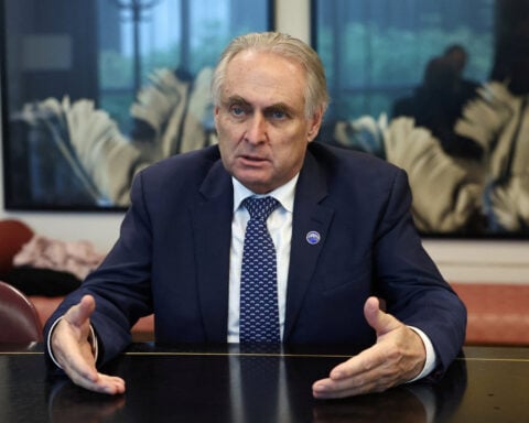 Australia is 'safe and reliable' critical minerals alternative, minister says
