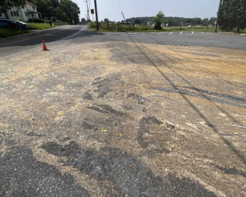EGG-TASTROPHE | Thousands of eggs spill off truck, cause shell-shocking mess in Pennsylvania