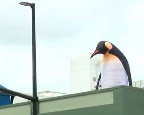 Giant penguins descend onto Downtown Orlando rooftops