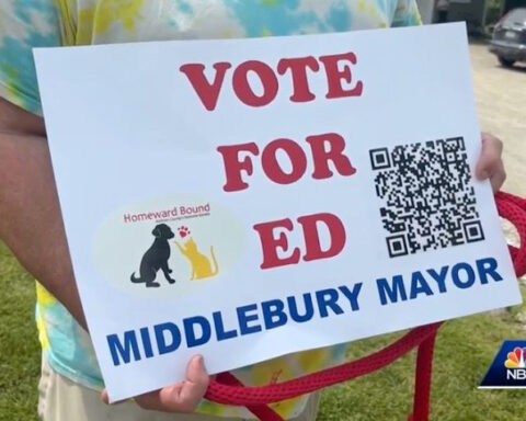 Vermont town hosts first-ever dog mayor election