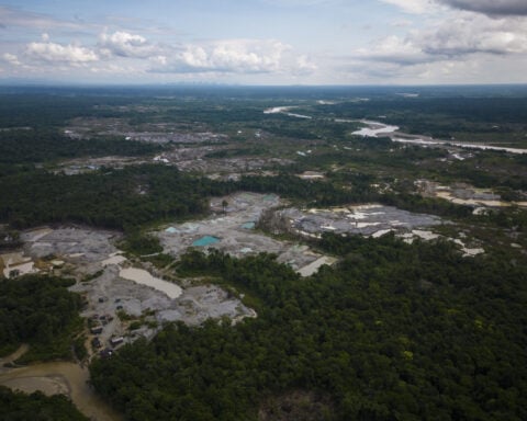 Colombia reports 33% drop in deforestation in early 2025, with major progress in Amazon parks