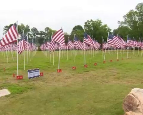 WWII vet honored for serving on segregated front lines: 'He was my hero'