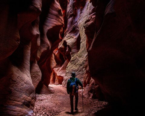 ‘Every turn reveals something new’: Hiking Southern Utah’s stunning slot canyons