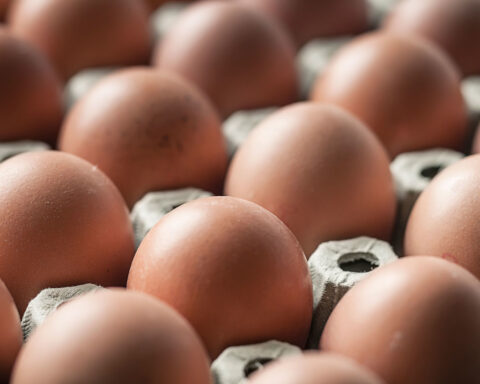 Salmonella outbreak linked to eggs sickens dozens of people across 7 states