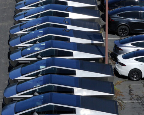 ‘This is not over’: Tesla Takedown protesters keep pressure on Elon Musk despite DOGE exit