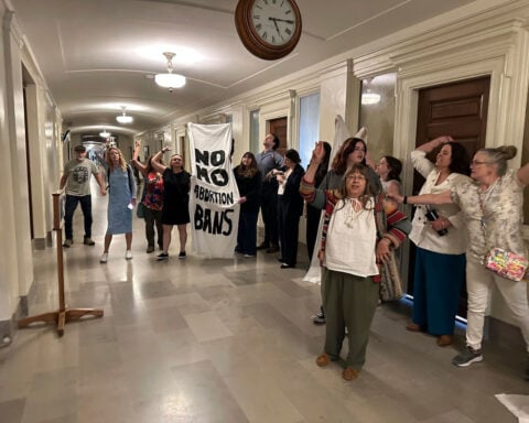 ‘Our Constitution is easy prey’: Republican-led states try to shut down liberal ballot initiatives