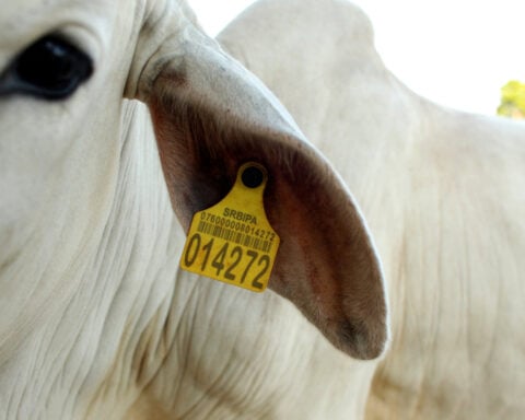 Why Brazil’s ‘King of Cattle’ is embracing a plan to save the Amazon