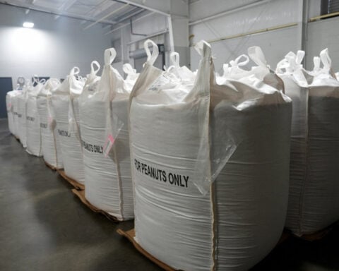 USAID cuts threaten 'God's food,' made in Georgia for children in need