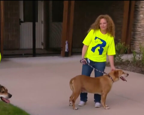 "Lemonade and Leashes" raises money for hundreds of animals at animal shelter