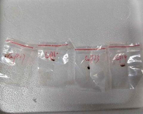 US reports the arrest of another Chinese scientist with no permit to send biological material