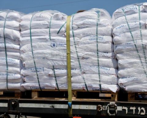 UN says most flour delivered in Gaza looted or taken by starving people